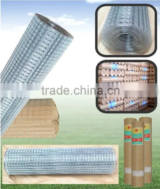 NEW GALVANISED WELDED Chicken FENCE WIRE MESH 30M ROLL