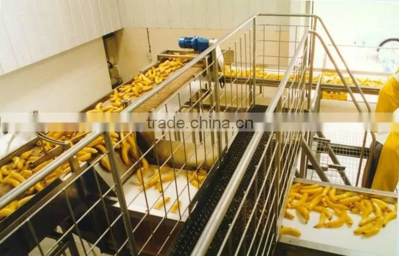 Stainless Steel Fruit Belt Conveyor Price