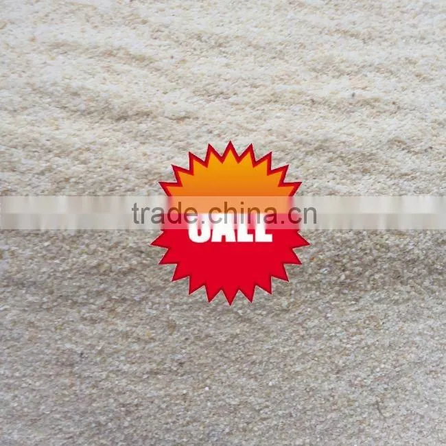 Pure White High Quality Dehydrated Garlic powder 80-100 mesh