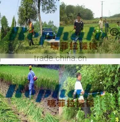 Two-stroke hanging mower