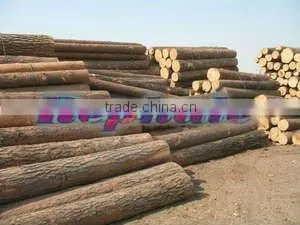 Hot Sale Wood Splitting Machine
