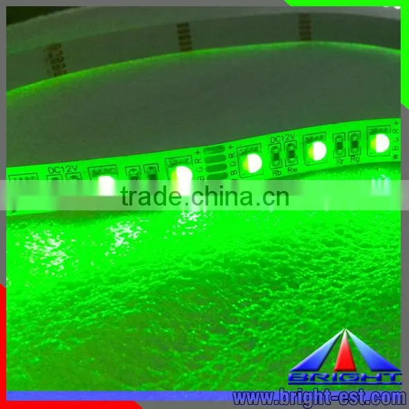 RGBW Led Strip Light DC24V 60led/m 300led/5m