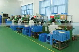 Foshan Shunde Lepuda Motor Co., Ltd. company overview - view 2