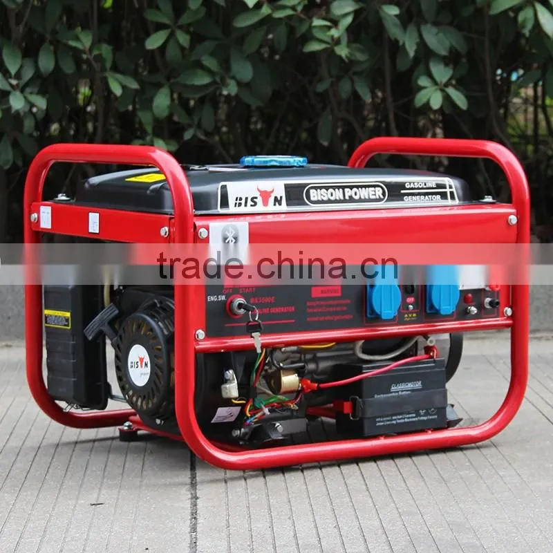 BISON(CHINA) OEM Factory Hot-Sale Biosgas Electricity Methane Gas Generator