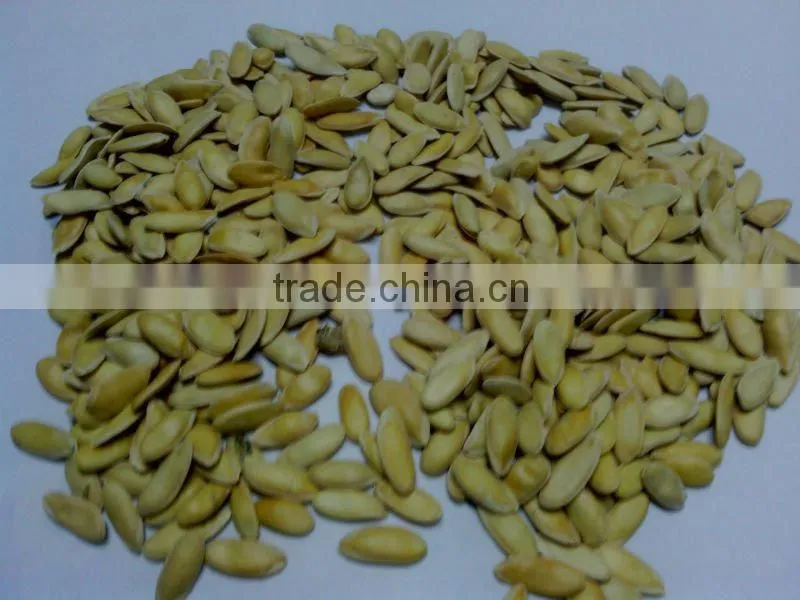 melon seed for planting