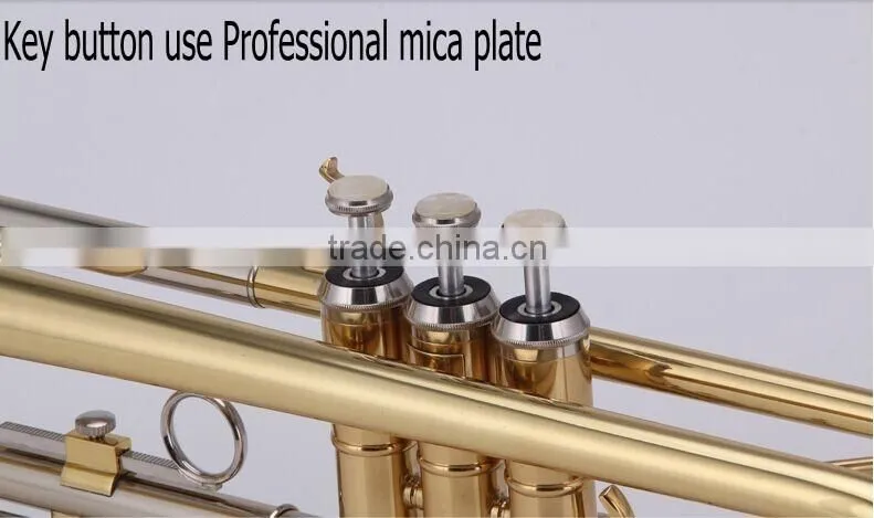 Entry Level trumpet for students beginner