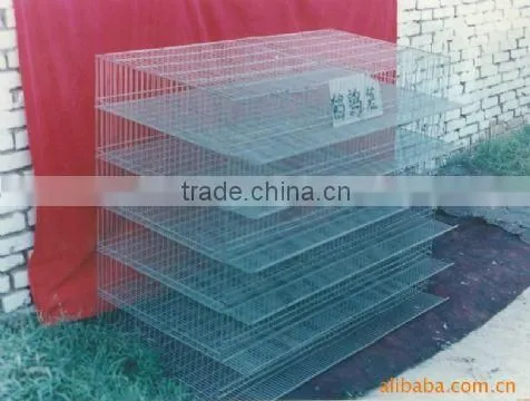 zhenhua chicken breeding cage/Chicken layer cages/ Laying chicken cages