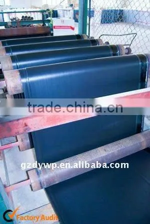 bituminous membrane