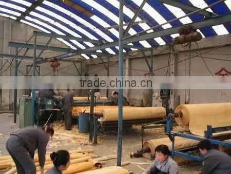 Plywood Cheap Commercial Plywood