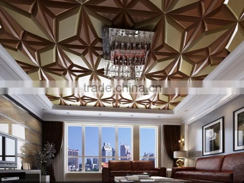 Ceiling idea 3D ceiling panel