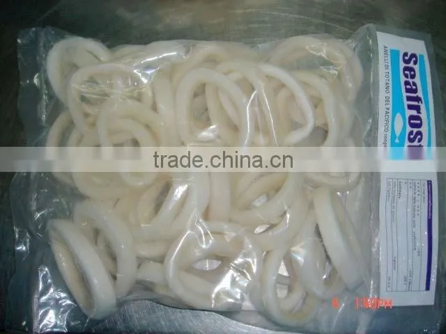 Common squid