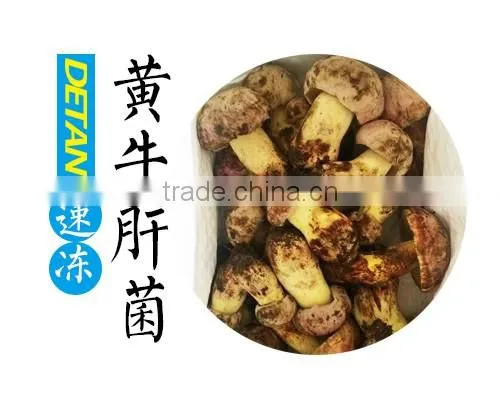 Wholesale IQF Frozen Boletus Edulis Cultivate