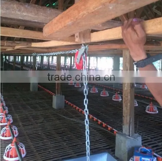 Automatic chicken feeder poultry chicken feeding system