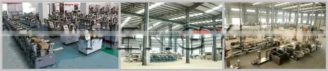 2015New product/cheap price/18 months warranty automatic pelmeni machine