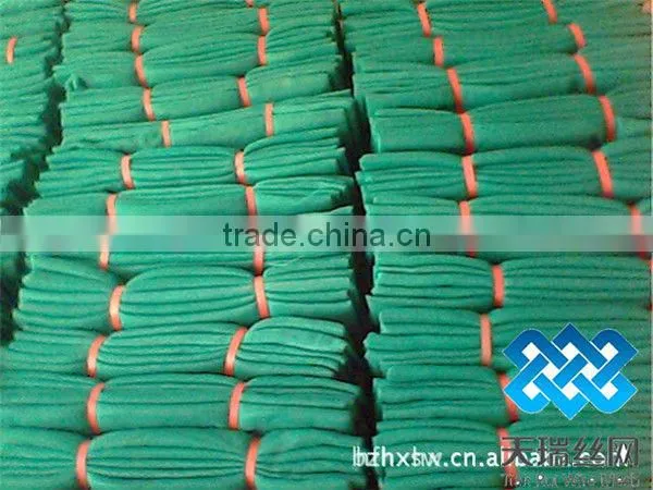Scaffold Netting /Scaffolding Net/scaffolding safety nets
