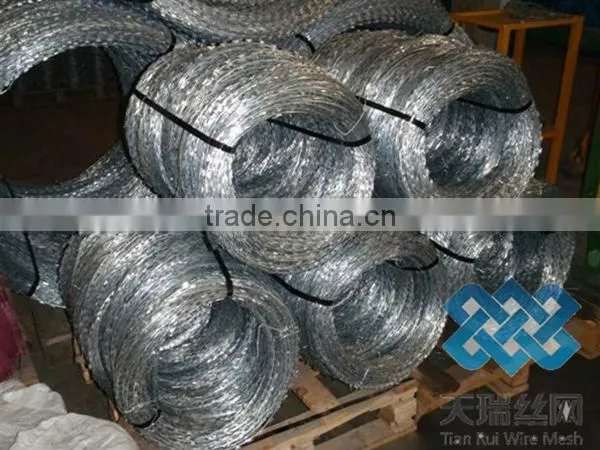 stainless steel and galvanized concertina razor wire