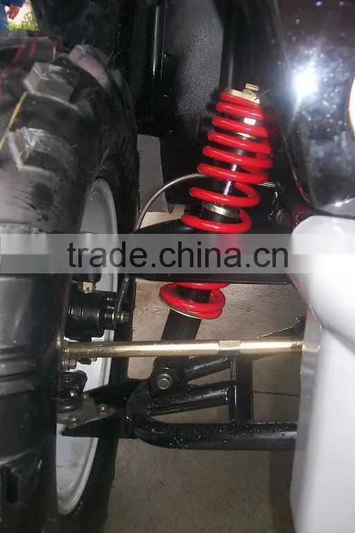 800cc buggy eec buggy 4wd