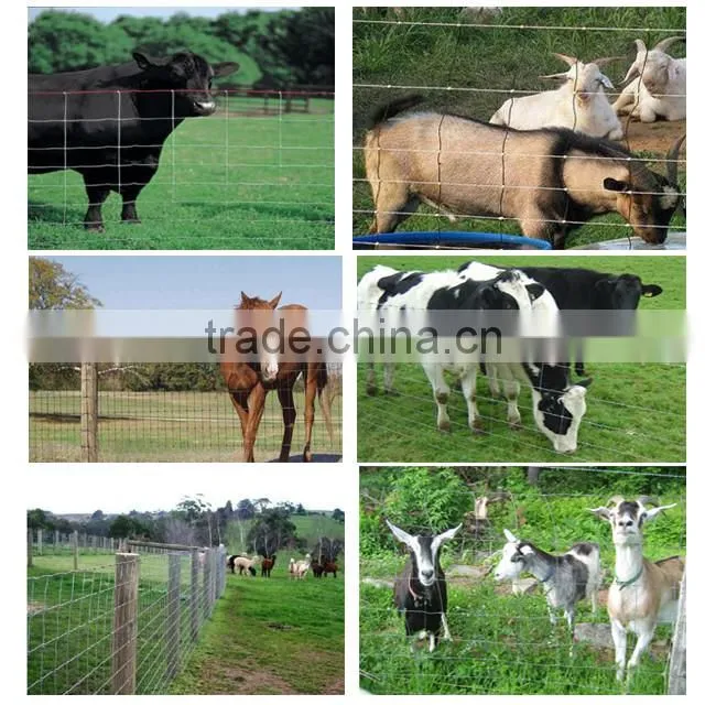 Hot Sale Electric Galvanized Field Iron Wire Cattle Mesh Fence