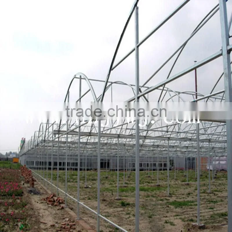 Span plastic greenhouse