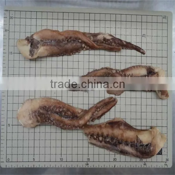 seafood and frozen cooked giant squid tentacle