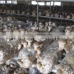 Guangzhou Lianguan Trade Limited Company company overview - view 3
