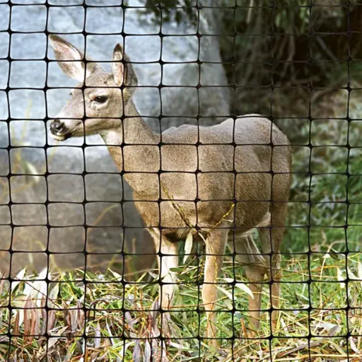 invisible deer fence
