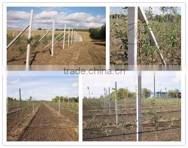 Concrete pillar machine. fence post . Concrete column machine| beam Machine