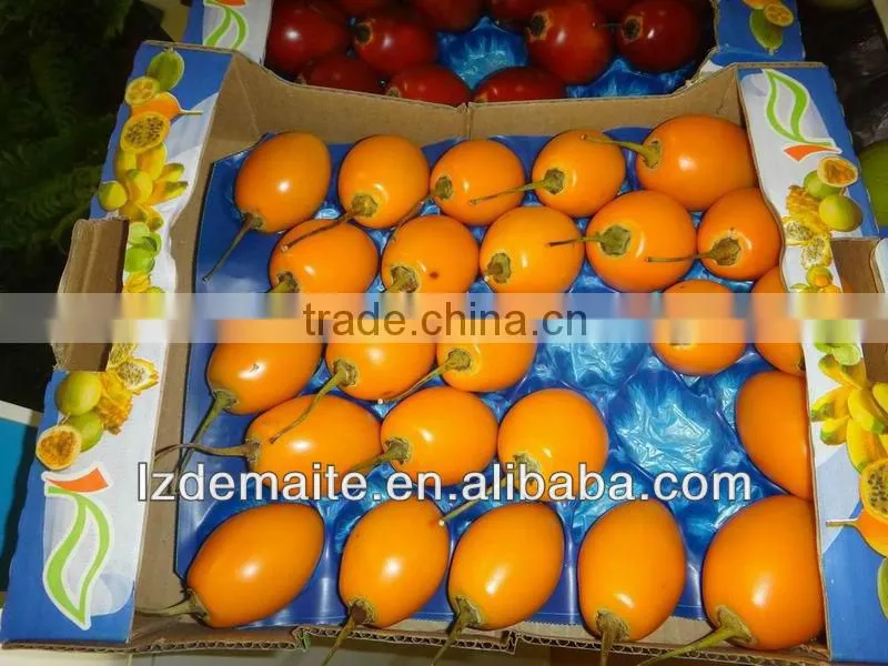 Mango Tray Insert