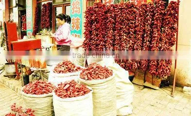 food spices dehydrated chilli with factory price