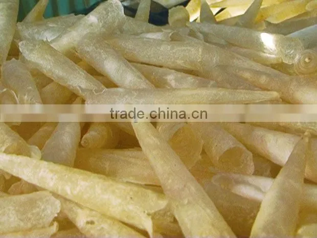 Fish maw/dried seafood