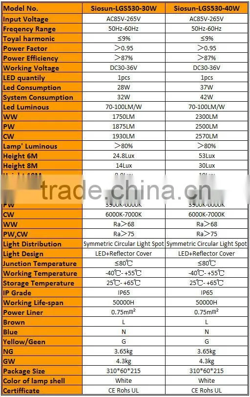 New Design 30W Citizen COB LED Street Lamp