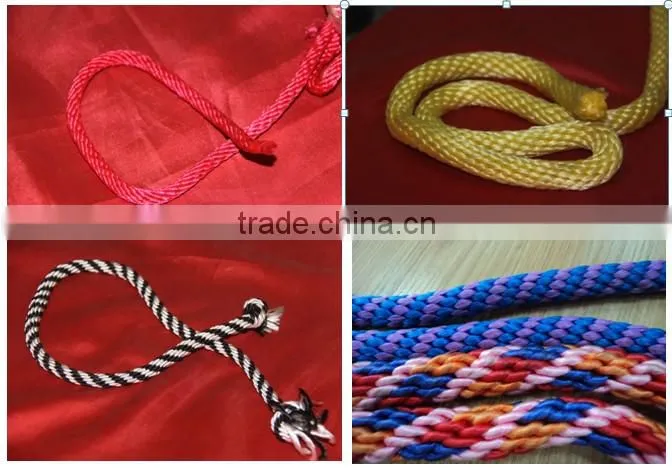 12 spindle hauling ropes and muntaineering ropes braider TSCD-12-2