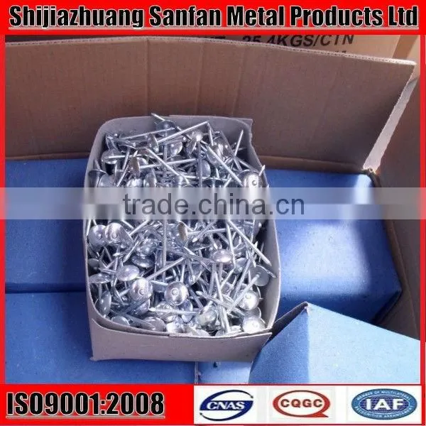 ring shank zinc galvanized roofing nails