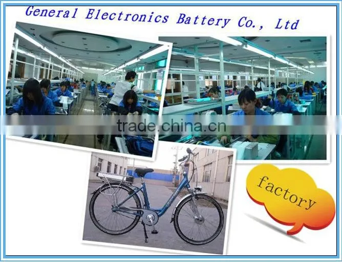 Fashion best selling e-bike lifepo4 battery 48v 20ah for electric bike