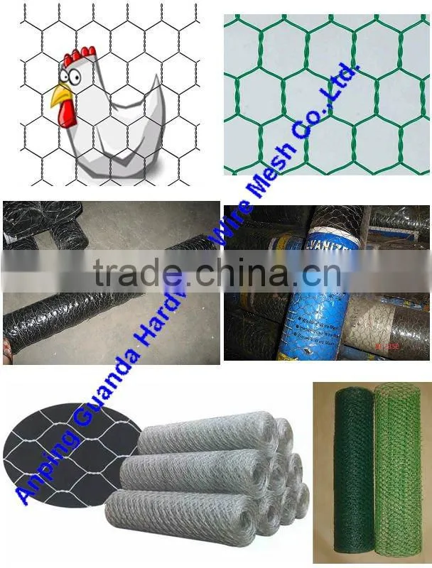 Chicken Wire Mesh