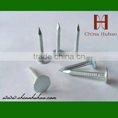 1"--6" polishing flad head iron nail (factory)