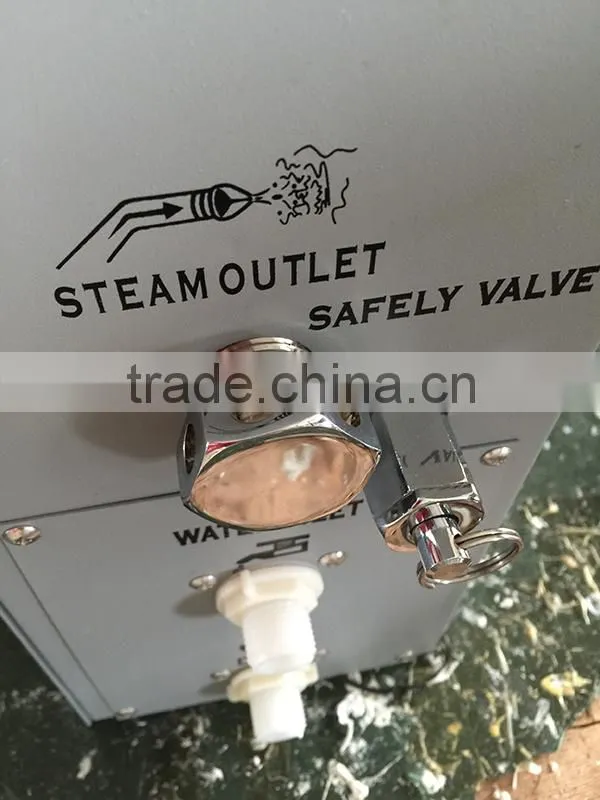 CONSTAR High Quality 9KW electric steam generator GS08
