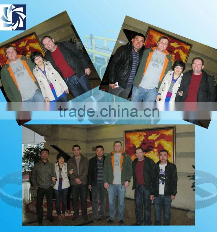 Hot sale high quality engineering winch, logging winch, hydraulic winch