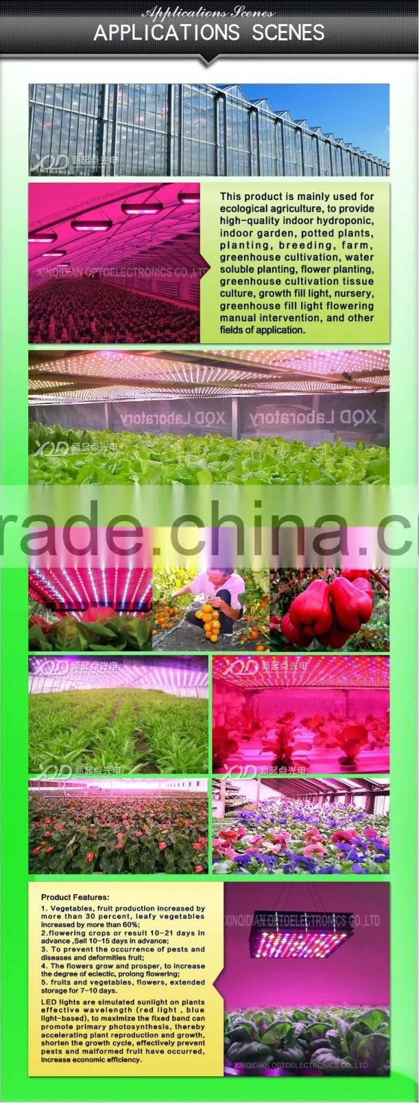 cheapest led grow lamp 300w smart control wavelength full spectrum grow light
