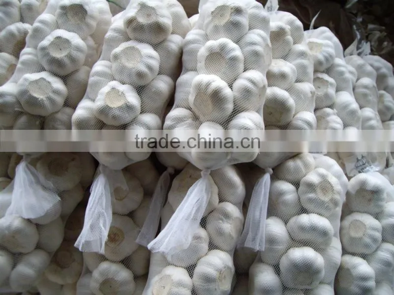 2014 Fresh Garlic , Jinxiang Garlic Normal White and Pure White