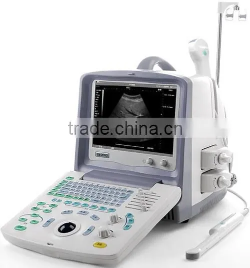 Portable musculoskeletal ultrasound machine