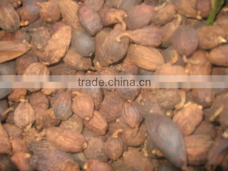 BLACK CARDAMOM
