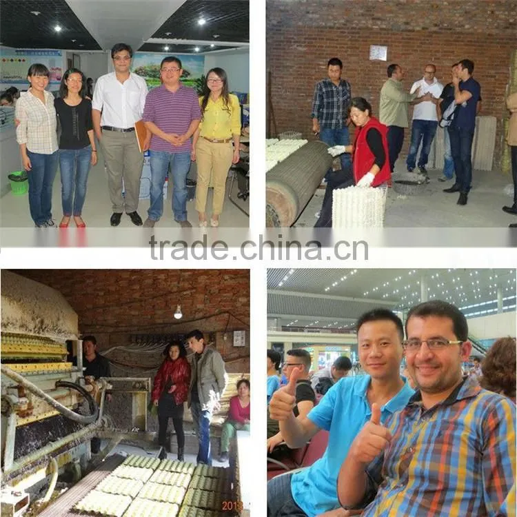 paper pulp egg tray molding machine