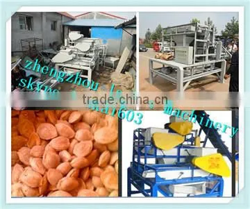 good quality best price almond shelling machine/almond sheling equipment/Nut shelling machine