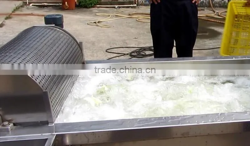 WA-2000 Full Automatic Industrial Ozone Bubble Vegetable And Fruit Cleaner Washing Machine