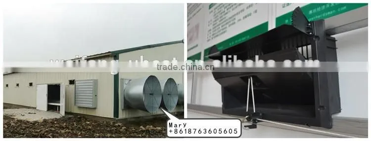 Industrial chicken shed/broiler farm/poultry house construction design