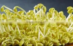 Wholesale price peeling machine washing machine