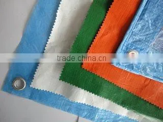 Hui Quan Plastic Tarpaulin Factory Of Weifang company overview - view 2