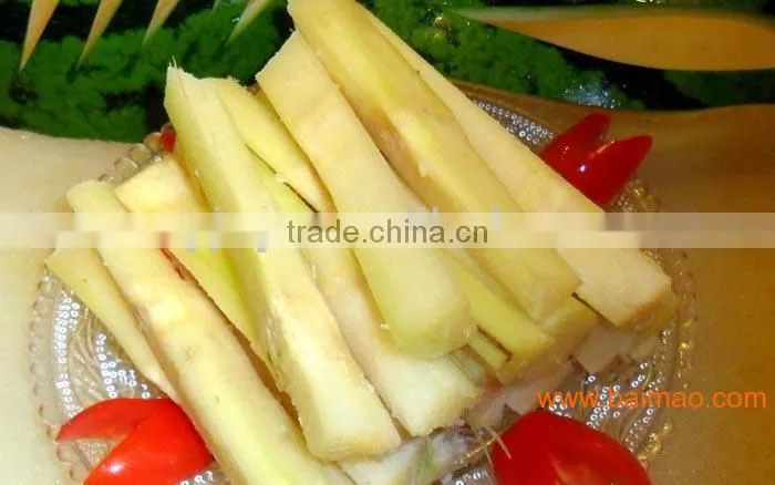 cane crusher ,new arrive cane juice cusher ,industrial sugarcane crusher, 2014 new sugar cane crusher machine