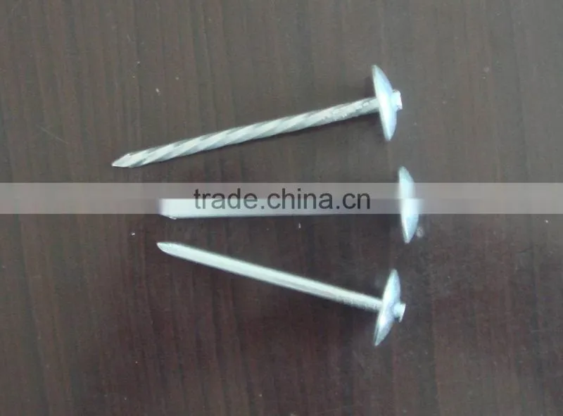 steel cut nails